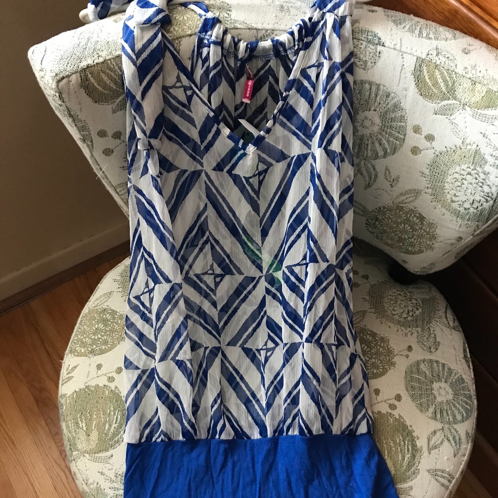 Sheer Top long tunic/mini dress - size Large